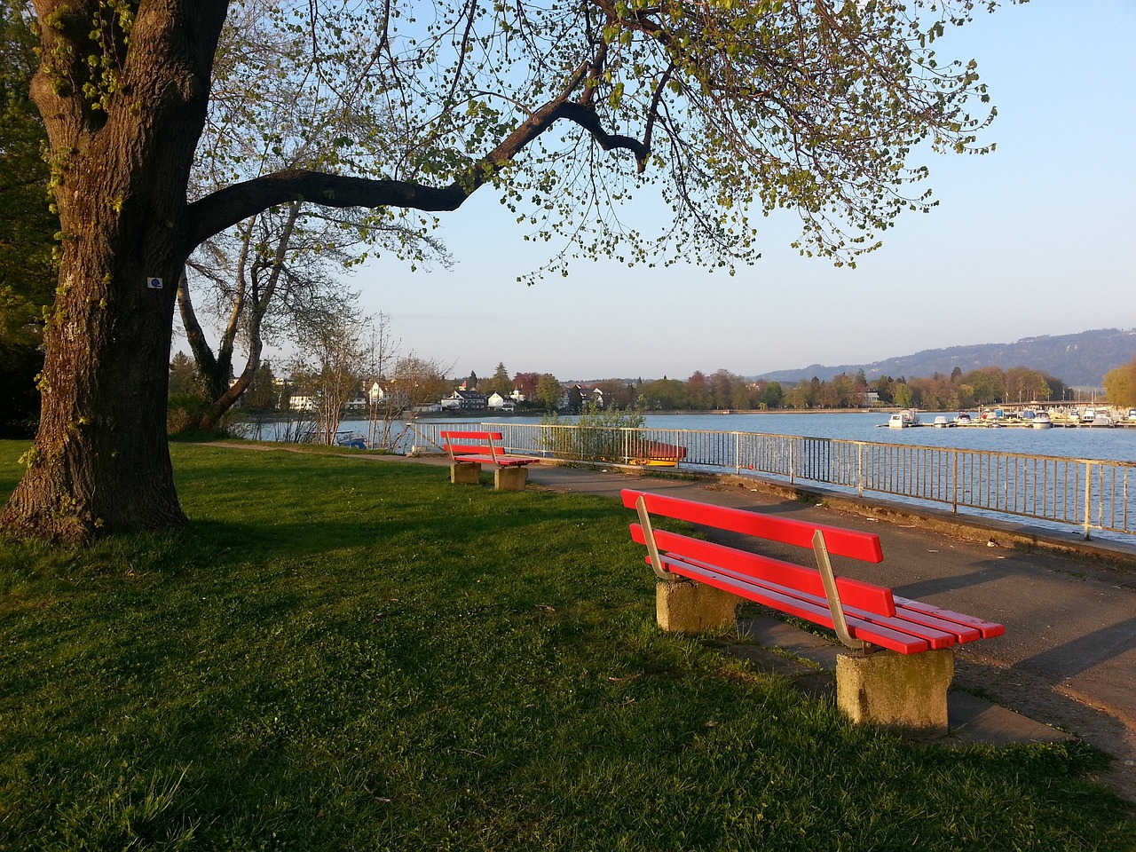 这场比赛标 这场比赛标