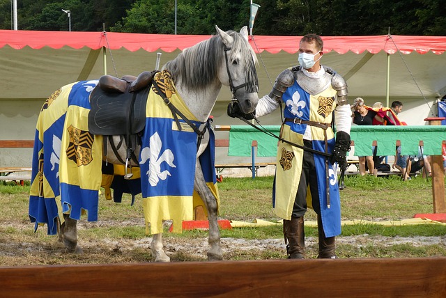 选择一个能 选择一个能