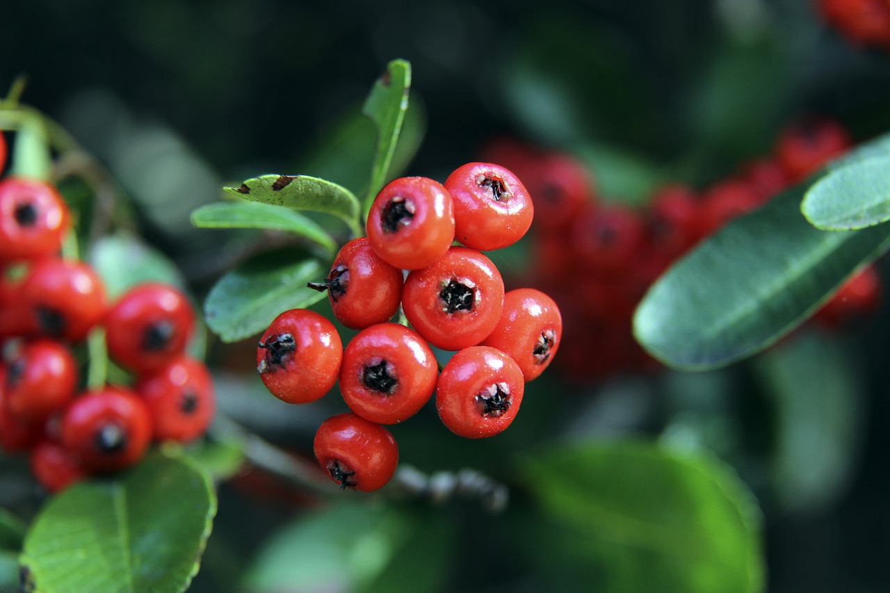 具有重要意 具有重要意