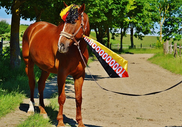 湖人依赖浓 湖人依赖浓