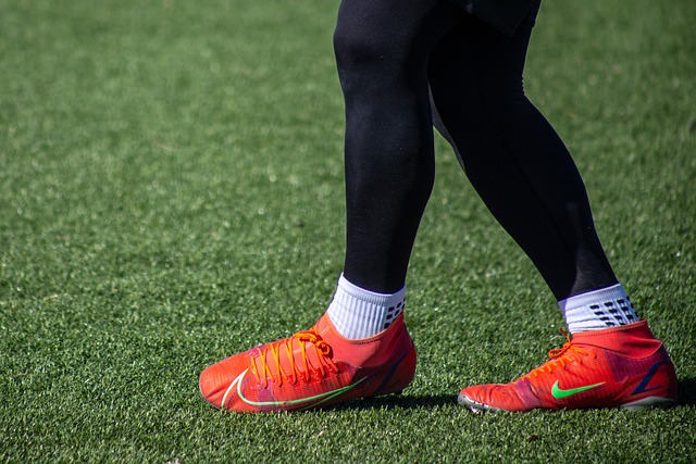 形成了一个 形成了一个